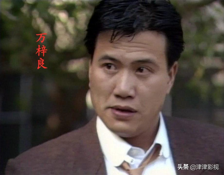 1986年的香港电视剧，万梓良、郑裕玲、吴启华主演，你看过吗